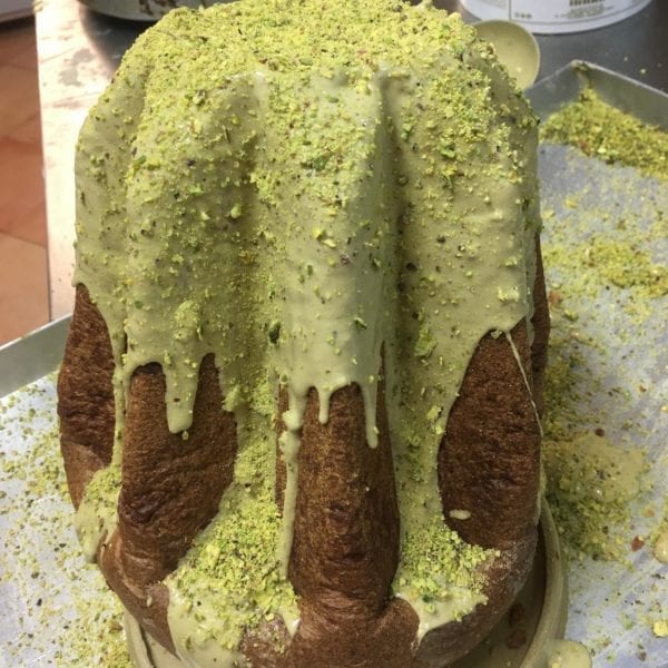 121606998_358800095557573_8205511701522247768_o